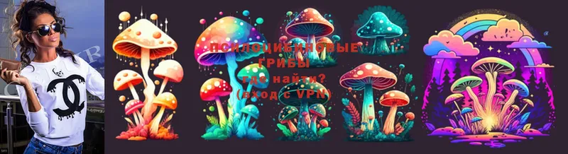 цена   Балахна  omg как зайти  Псилоцибиновые грибы Psilocybe 